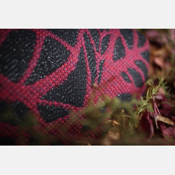 Genesis Cherry Crisp