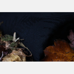 Fern The Darkness