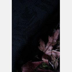 Fern The Darkness