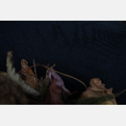 Fern The Darkness