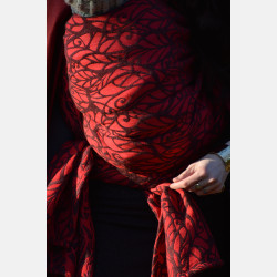Genesis LIttle Red Riding Hood