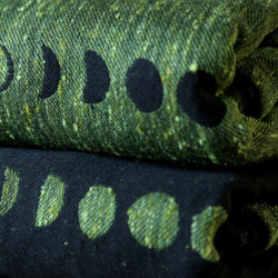 Phases Moss