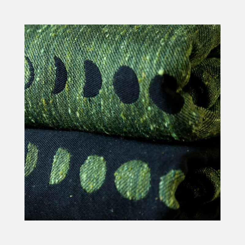 Phases Moss