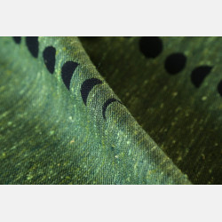 Phases Moss