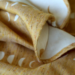 Phases Zenzero e Limone
