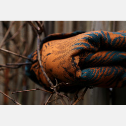 Fern Kingfisher