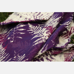 Fern Daydream