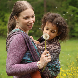 Solnce Genesis Little Pixie Grove | Luxury Woven Wrap