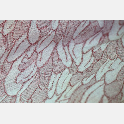 Angel Wing Dusty Pink