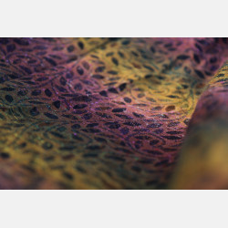Solnce Eos Drums of Autumn | Luxury Woven Wrap
