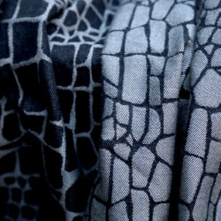 Croco Caiman