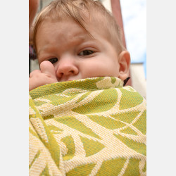 Solnce Genesis Shaken, Not Stirred | Luxury Woven Wrap