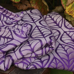 Laurus Kalahari