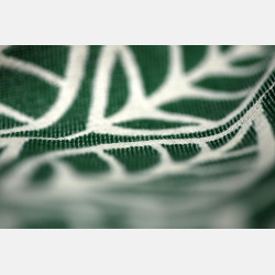 Laurus Green Gables