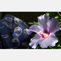 Solnce Moons Celestial Sapphire | Luxury Woven Wrap