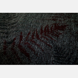 Solnce Fern Oblivion | Luxury Woven Wrap
