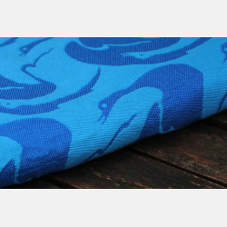 Swan Lake Blue Swan 