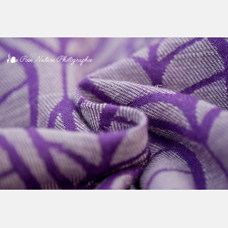 Laurus Purple Plum
